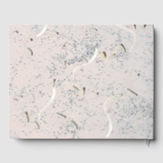 Peach & Gray Marmer Monogram Gastenboek (Achterkant)