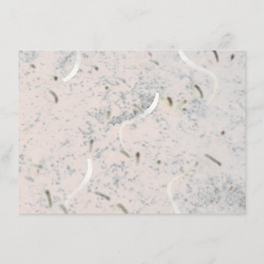 Peach & Grey Marble Monogramsal Dinner Informatiekaartje (Achterkant)