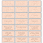 Peach  Herfst Baby shower Gastadres Sticker (Voorkant)