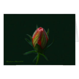 Peach Hibiscus flower - een ziel die bloeit in de