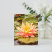 Peach Lotus Flower Briefkaart (Staand voorkant)