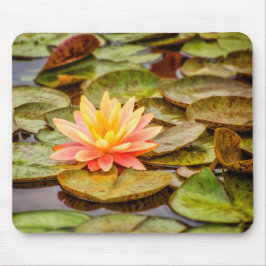 Peach Lotus Flower Muismat