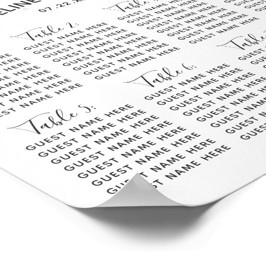 Peach & Munt Succulent Wedding Table Seating Chart Poster (Hoek)