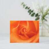 Peach Oranje Roos Briefkaart (Staand voorkant)