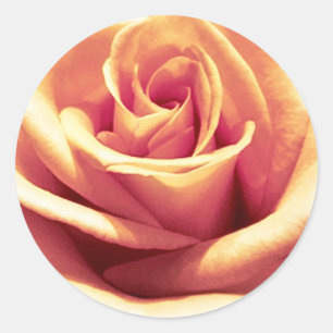 Peach-Oranje Stickers voor de envelop