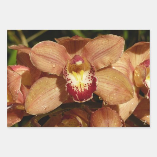 Peach Orchids with Raindrops Floral Inpakpapier Vel (Voorkant)