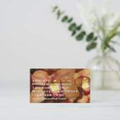 Peach Orchids with Raindrops Floral Visitekaartje (Staand voorkant)