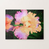 Peach & Paars Iris Legpuzzel (Horizontaal)