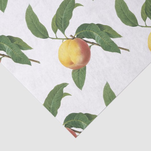 Peach Pattern Tissuepapier (Detail)