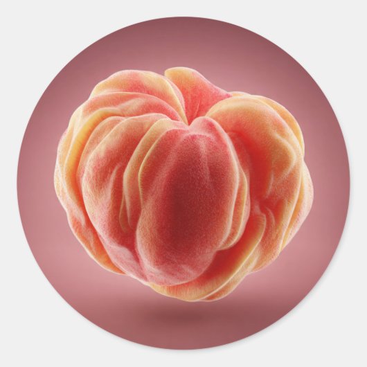Peach Peel Texture Premium Printable Label Design (Voorkant)