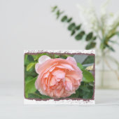 Peach Peony Briefkaart (Staand voorkant)