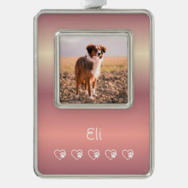 Peach Pet Photo Ornament - Framed, Holiday