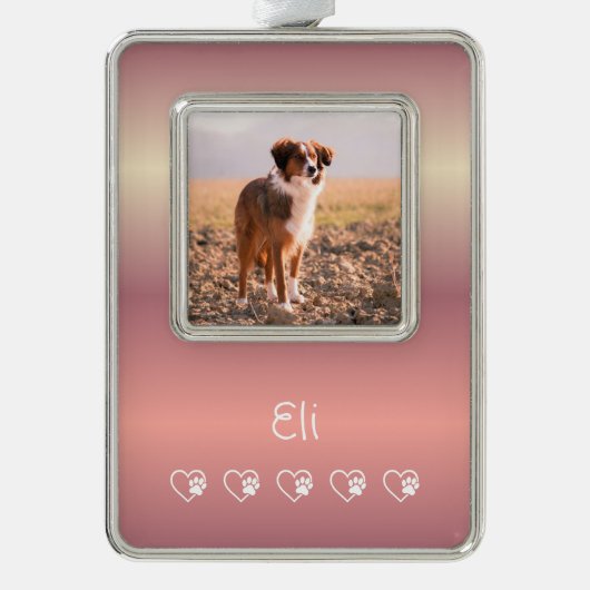 Peach Pet Photo Ornament - Framed, Holiday  (Voorkant)