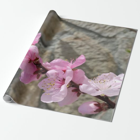 Peach petal flower cadeaupapier (Uitgerold)