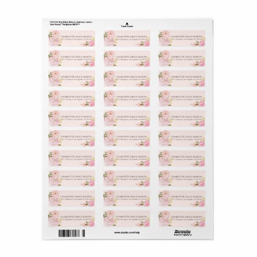 Peach Pink Spring Roos Adresetiketten Etiket (Full Sheet)