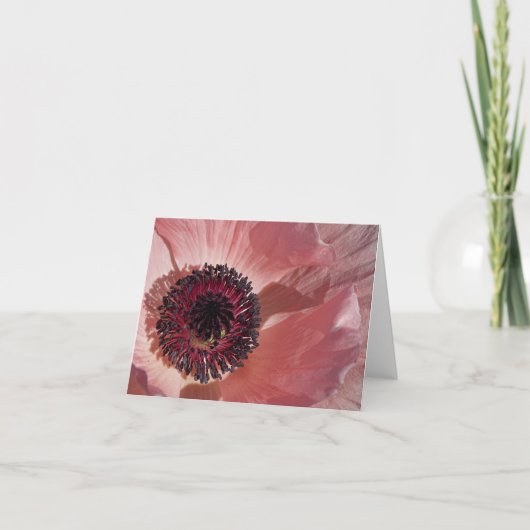 Peach Poppy Blank Notecard Kaart (Voorkant)