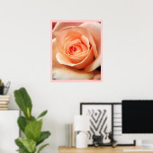 Peach Roos Abriot Rozen Flowers Floral Foto Poster (Thuiskantoor)