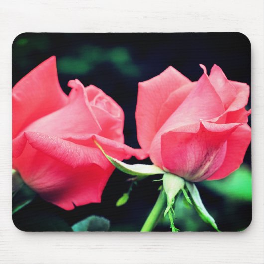 Peach Roos Duo-ventilator Muismat (Voorkant)