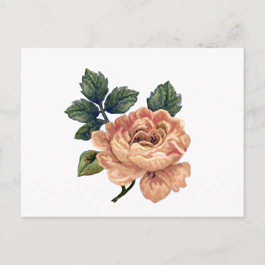 Peach Roos -  Makover. Briefkaart (Voorkant)