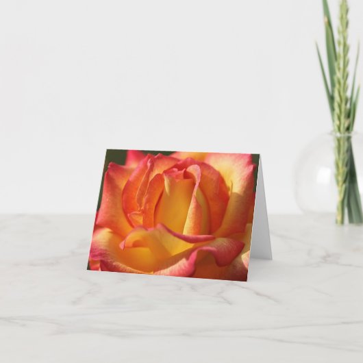 PEACH ROOS NOTE CARDS KAART (Voorkant)