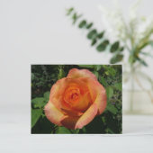 Peach Roos Oranje Floral fotografie Briefkaart (Staand voorkant)