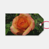 Peach Roos Oranje Floral fotografie Cadeaulabel (Voorkant (Horizontaal))