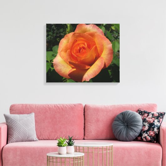 Peach Roos Oranje Floral fotografie Canvas Afdruk (Insitu (Woonkamer))