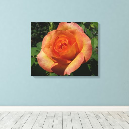 Peach Roos Oranje Floral fotografie Canvas Afdruk (Insitu (Houten vloer))