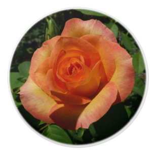 Peach Roos Oranje Floral fotografie Keramische Knop