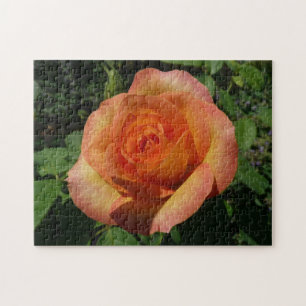 Peach Roos Oranje Floral fotografie Legpuzzel