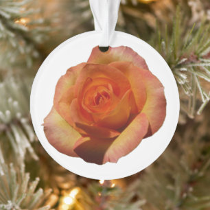 Peach Roos Oranje Floral fotografie Ornament