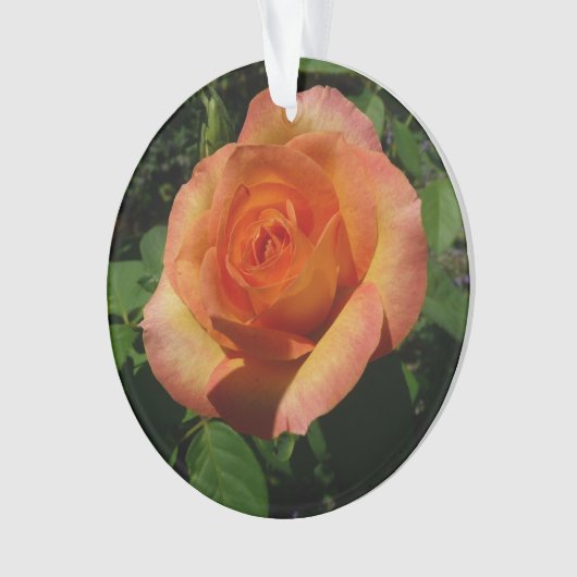 Peach Roos Oranje Floral fotografie Ornament (voorkant)