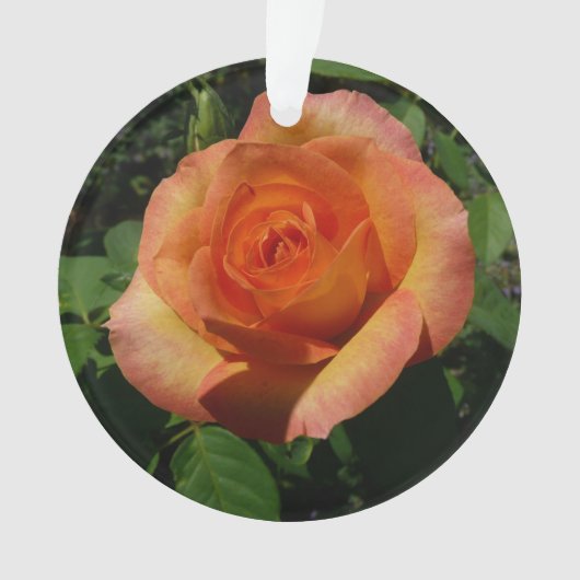 Peach Roos Oranje Floral fotografie Ornament (voorkant)