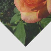 Peach Roos Oranje Floral fotografie Tissuepapier (Detail)