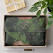 Peach Roos Oranje Floral fotografie Tissuepapier (Geschenk)