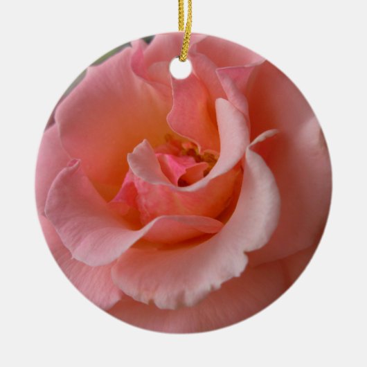 Peach Roos Ornament Romantic Roos Decoraties (Voorkant)