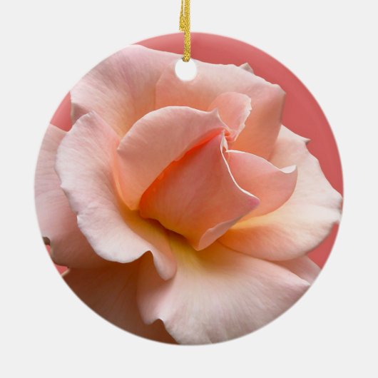 Peach Roos Ornament Romantic Roos Decoraties (Achterkant)