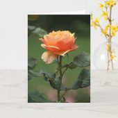 Peach roos Vriendschapskaart Kaart (Gele Bloem)