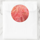 Peach Roos Wedding Stickers and Envelope Seals (Tas)