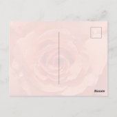 Peach Rose Postcard Briefkaart (Achterkant)