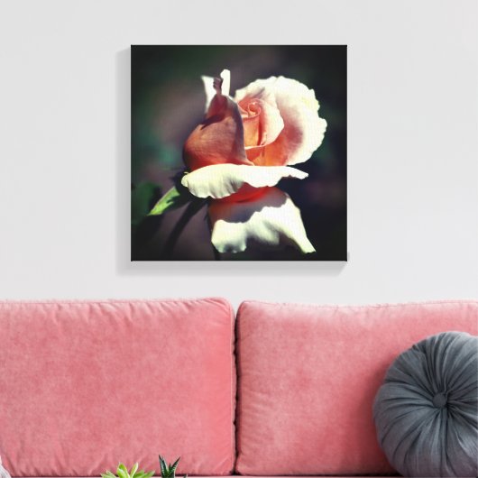 Peach rosebud Flower Close Canvas Afdruk (Insitu (Woonkamer))
