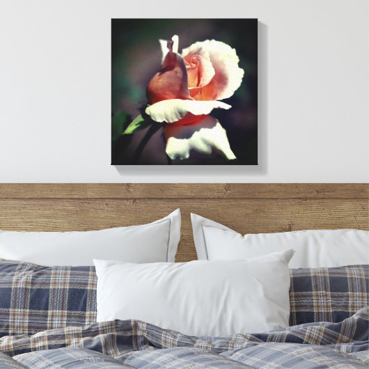 Peach rosebud Flower Close Canvas Afdruk (Insitu (Slaapkamer))