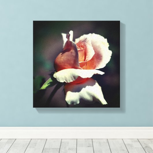 Peach rosebud Flower Close Canvas Afdruk (Insitu (Houten vloer))