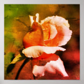 Peach Rosebud Flower Close-up Distressed Art Poster (Voorkant)
