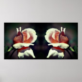 Peach Rosebud Flower Close-up Mirror Abstract Poster (Voorkant)