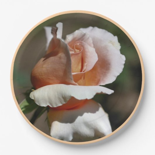 Peach Rosebud Party Papieren Bordje (Voorkant)