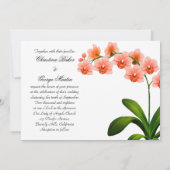 Peach roze phalaenopsis orchideeën bruiloft uitnod kaart (Achterkant)