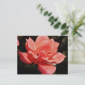  Peach Roze roze bloem Briefkaart (Staand voorkant)