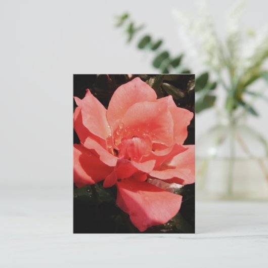  Peach Roze roze bloem Briefkaart (Staand voorkant)