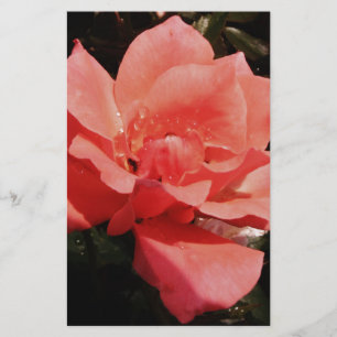 Peach Roze roze bloem Briefpapier